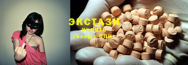 дмт Бородино